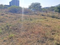 Before-CleaningPlots